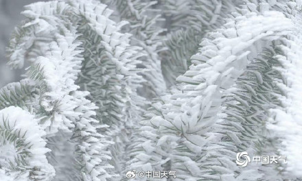 雾凇只能在北方看到吗？哪里雾凇最容易出现？揭秘来啦