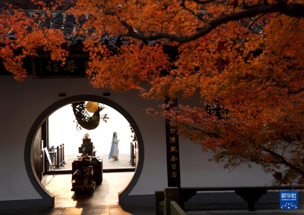 晨游西湖赏冬景 晨游西湖赏冬景