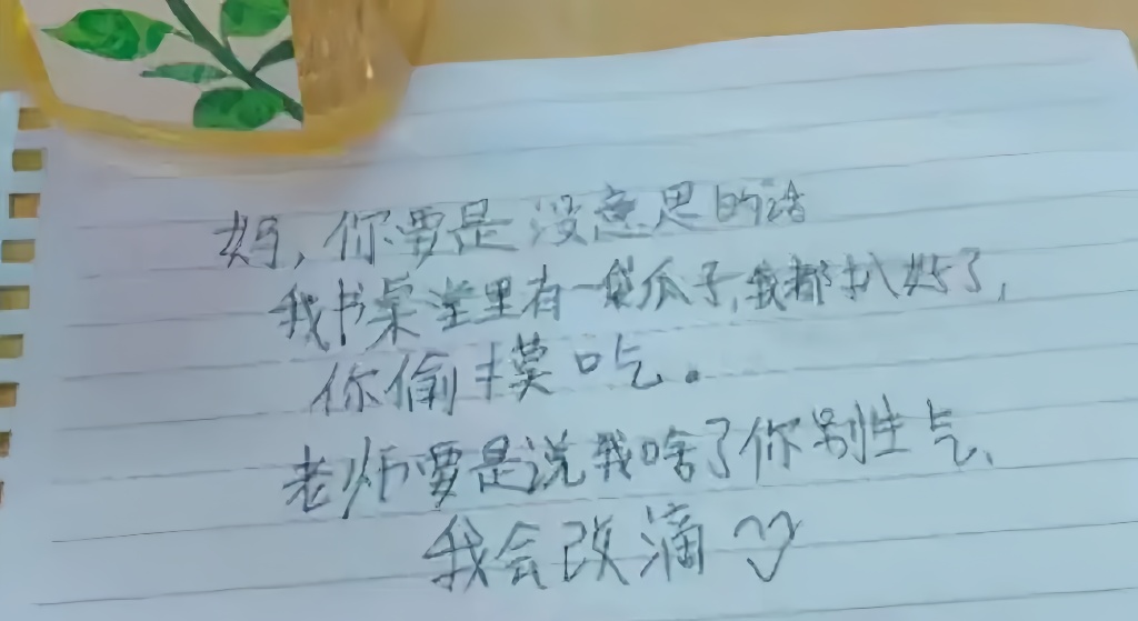 家长会，小学生给家长的留言还是太全面了