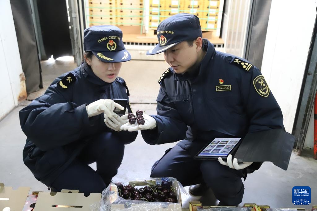 今冬我国北方首船智利车厘子抵达天津