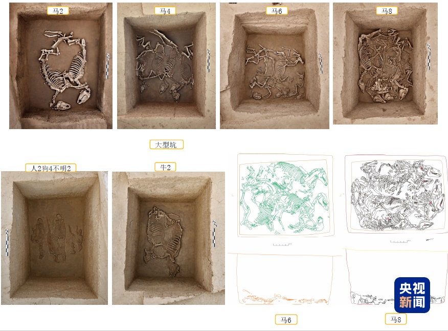 夏文化探索重大突破!“考古中国”最新进展发布 夏文化探索重大突破!“考古中国”最新进展发布