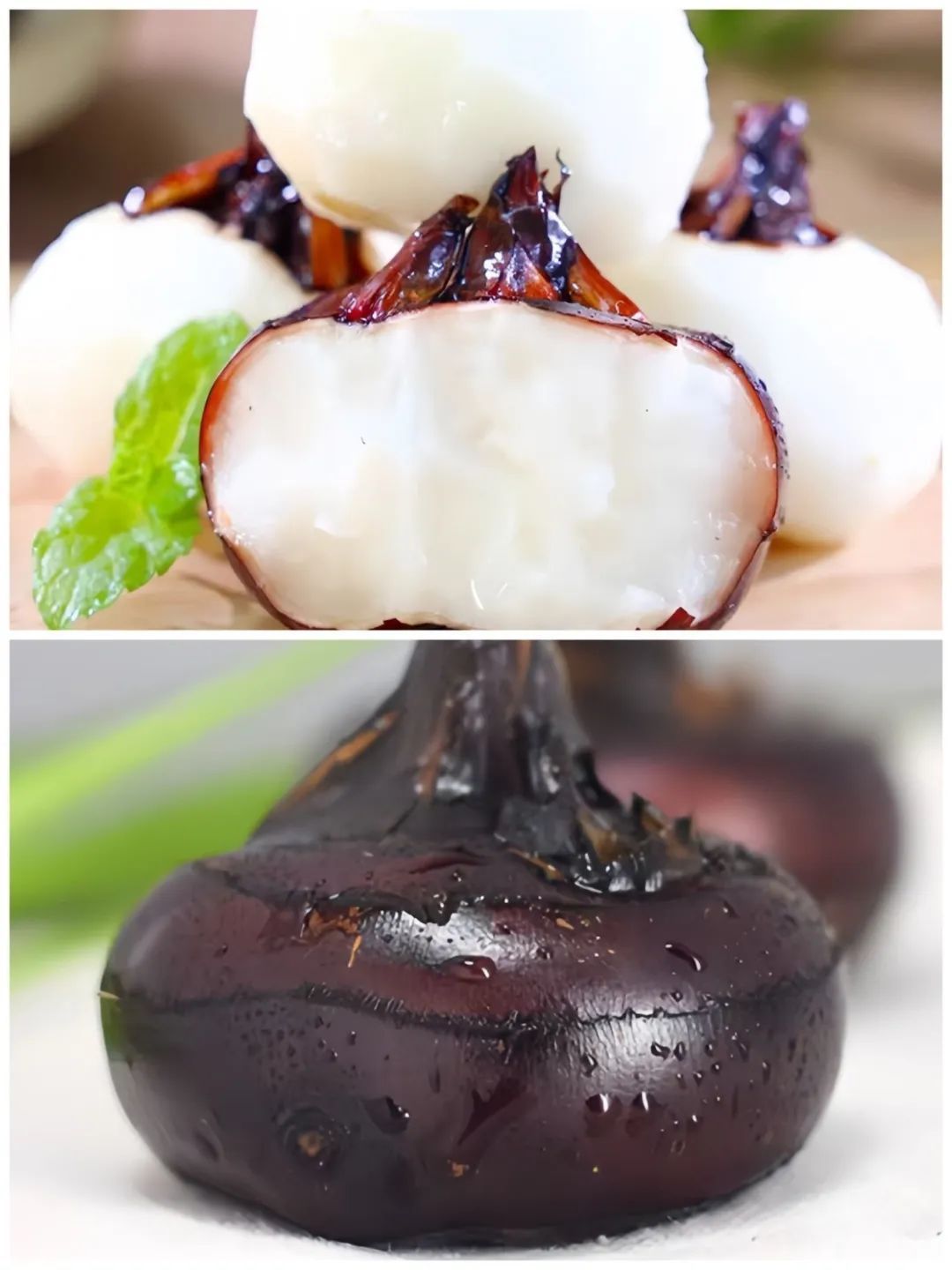 盘点那些被读错的植物 | 荸荠、蕺菜、藠头,见过吃过也听过,就是不会读? 盘点那些被读错的植物 | 荸荠、蕺菜、藠头,见过吃过也听过,就是不会读?