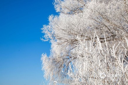 雾凇只能在北方看到吗？哪里雾凇最容易出现？揭秘来啦