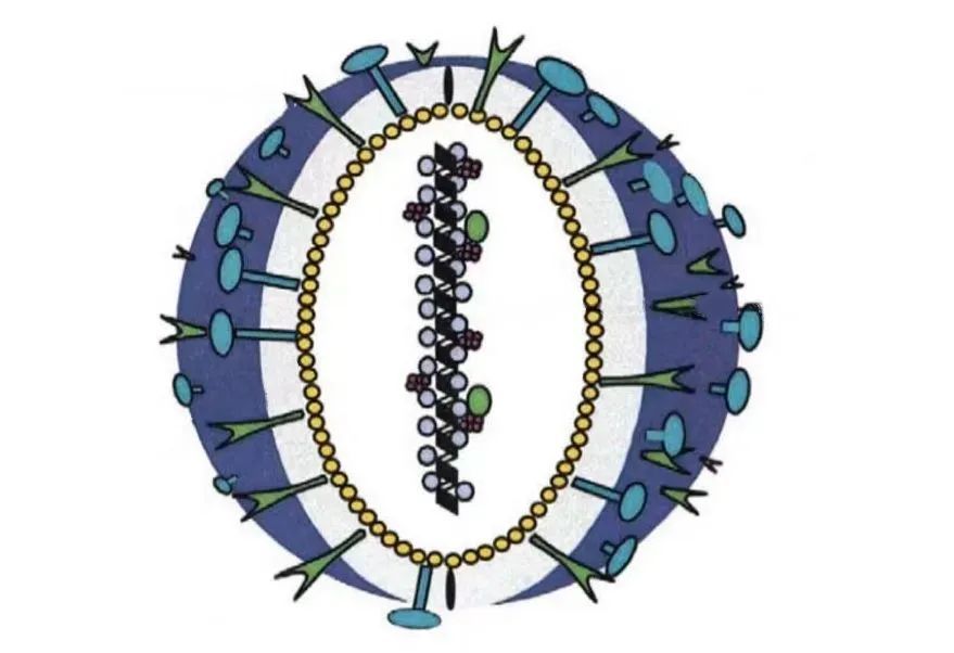 普遍易感！这一病毒来袭，尚无疫苗和特效药！