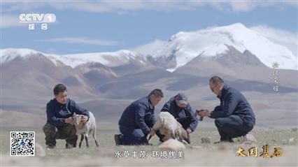 “小幸福”背后的“大力量”——《大国基石》重装上阵