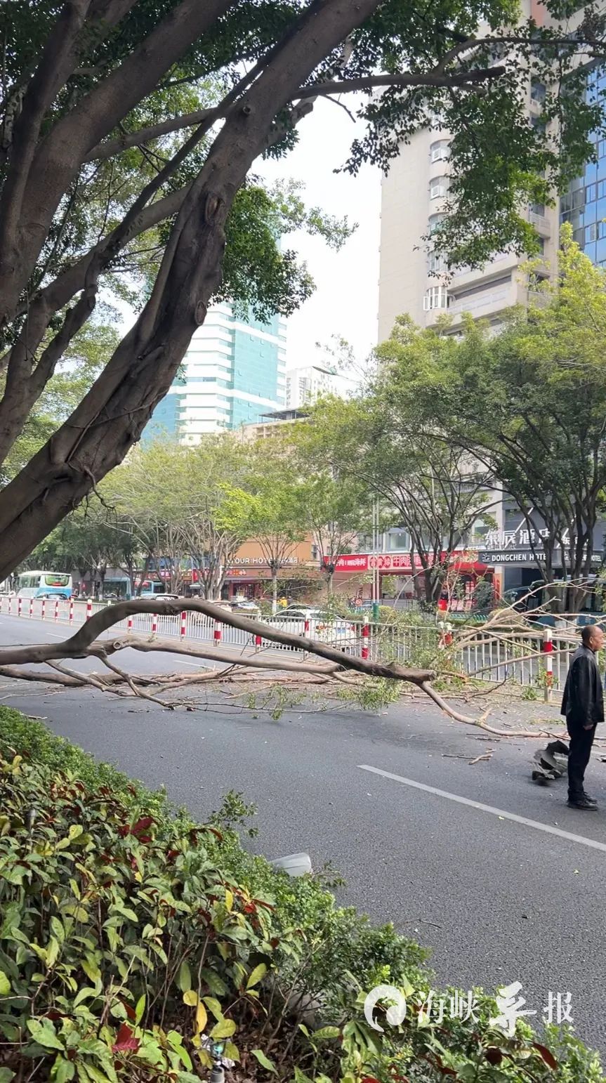 厦门莲坂突发!一辆出租车被砸…… 厦门莲坂突发!一辆出租车被砸……