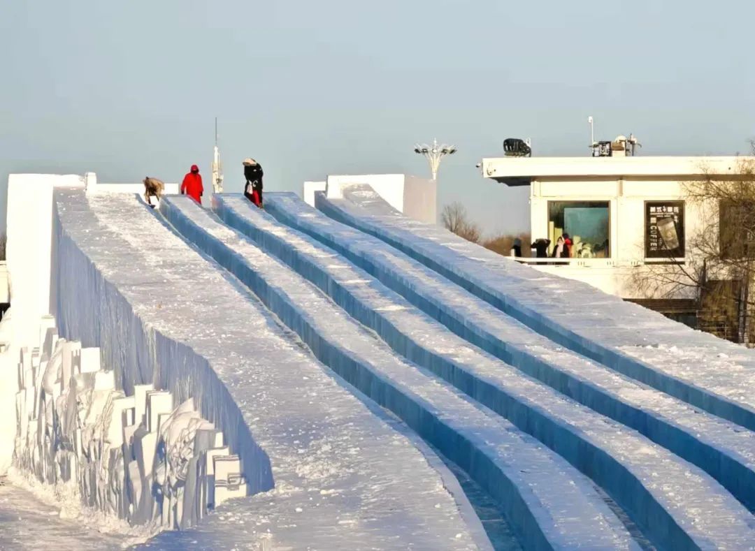 太阳岛雪博会今天正式开园！优待票、免票人群说明来啦——