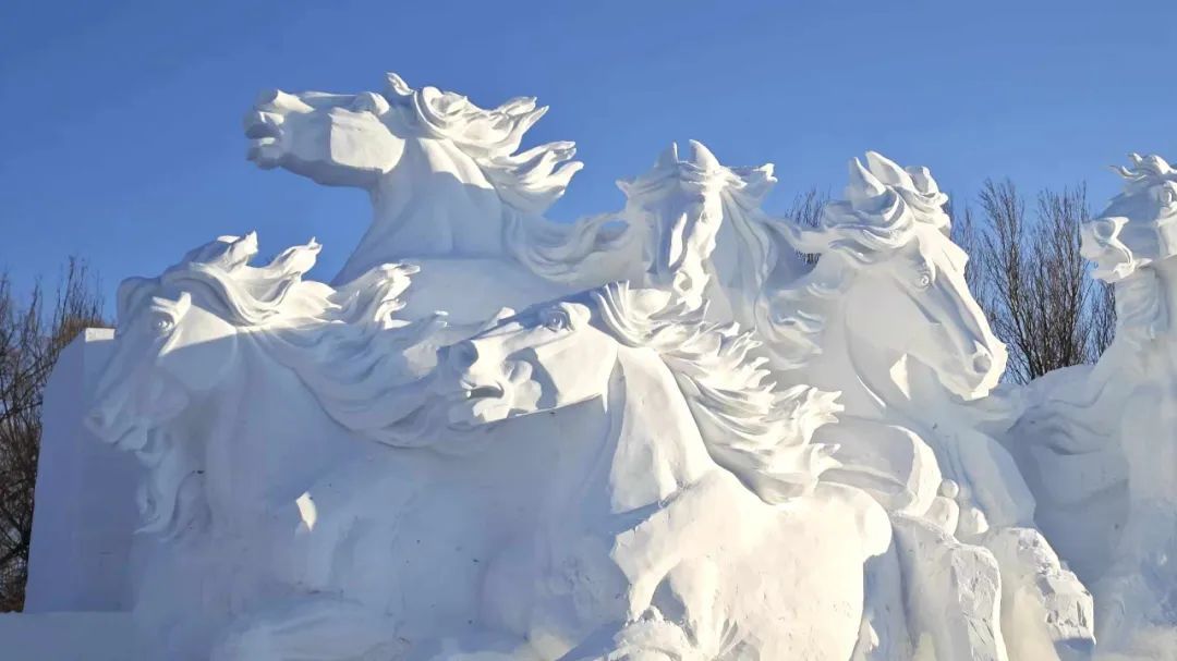 太阳岛雪博会今天正式开园！优待票、免票人群说明来啦——