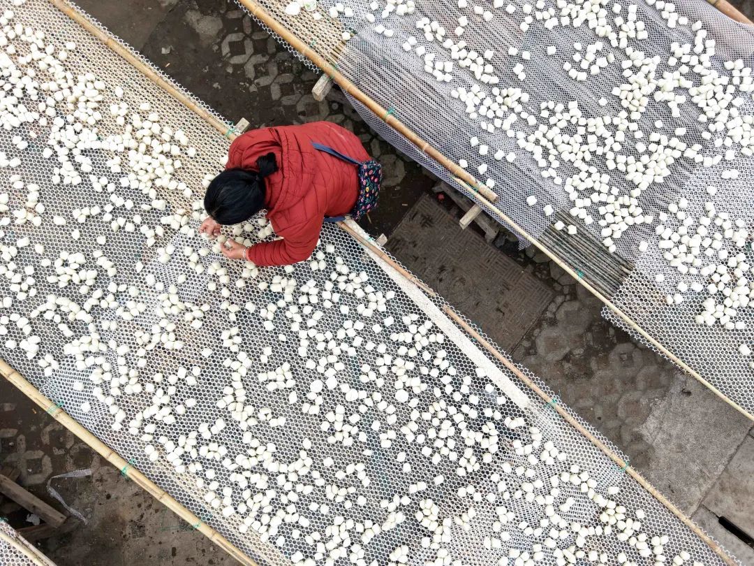 糯叽叽!一天2万斤,很多合肥人爱吃 糯叽叽!一天2万斤,很多合肥人爱吃