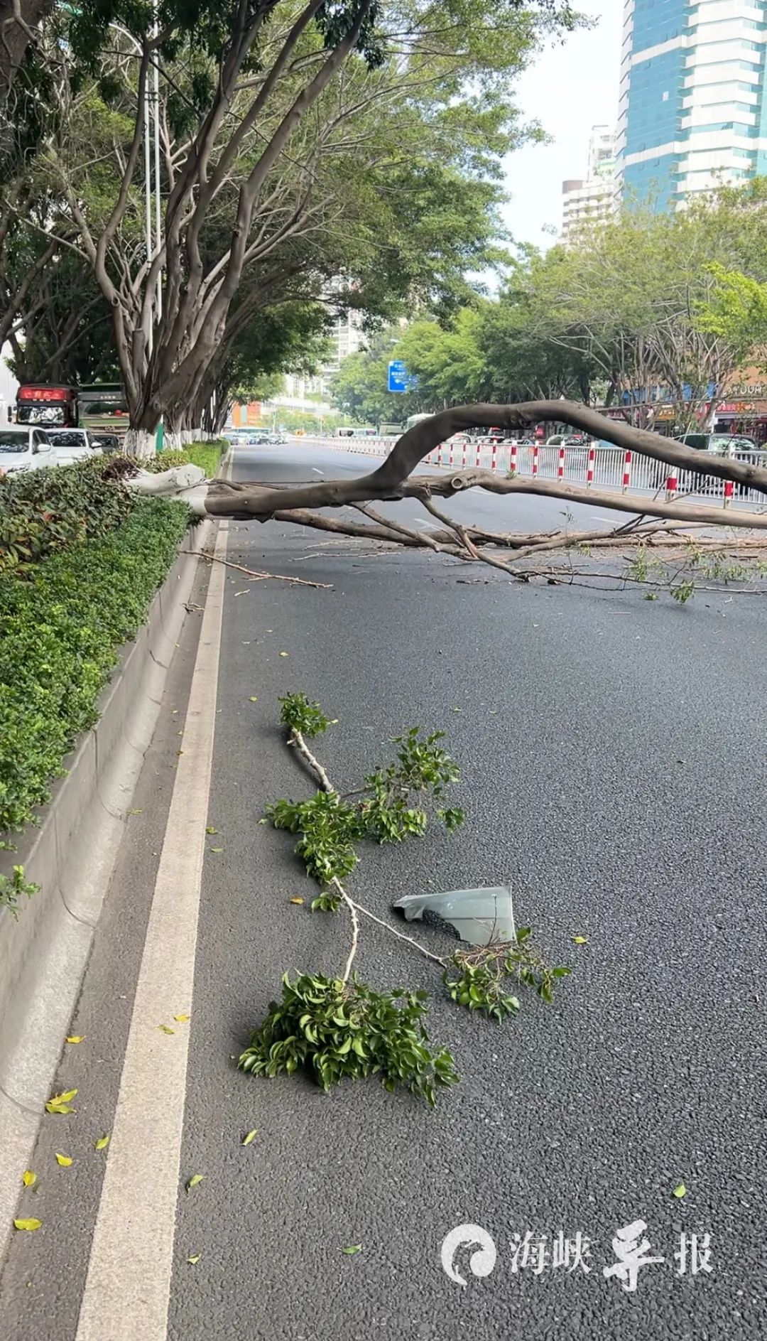 厦门莲坂突发!一辆出租车被砸…… 厦门莲坂突发!一辆出租车被砸……