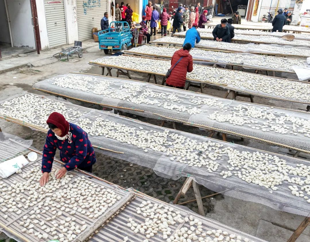 糯叽叽!一天2万斤,很多合肥人爱吃 糯叽叽!一天2万斤,很多合肥人爱吃