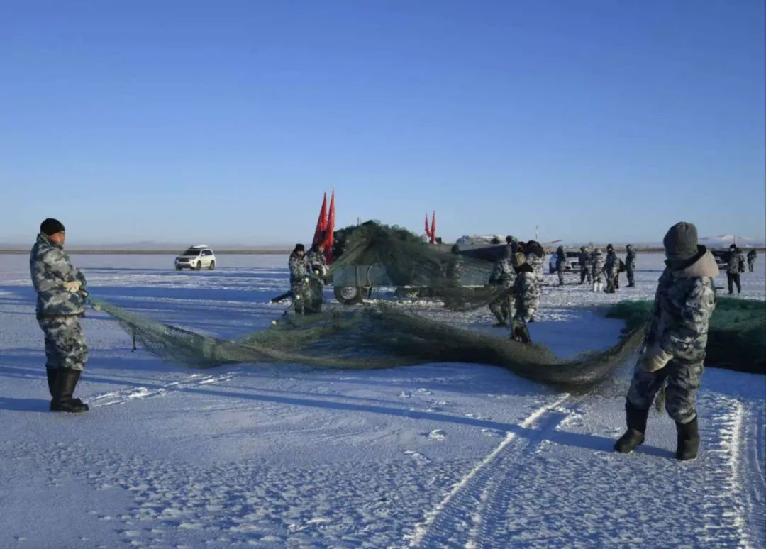 达里湖冬捕开网