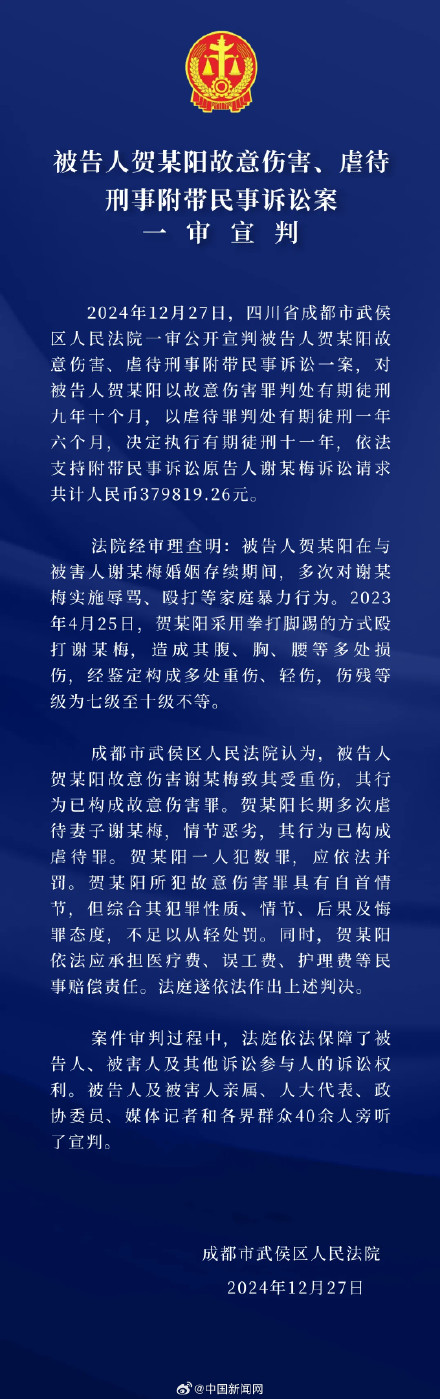 贺某阳犯虐待罪故意伤害罪获刑11年