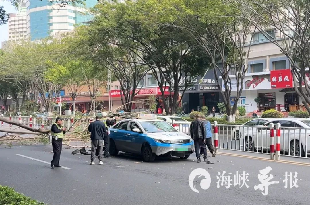 厦门莲坂突发!一辆出租车被砸…… 厦门莲坂突发!一辆出租车被砸……