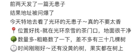 切莫食用！街头大量出现 还有不少人捡回家