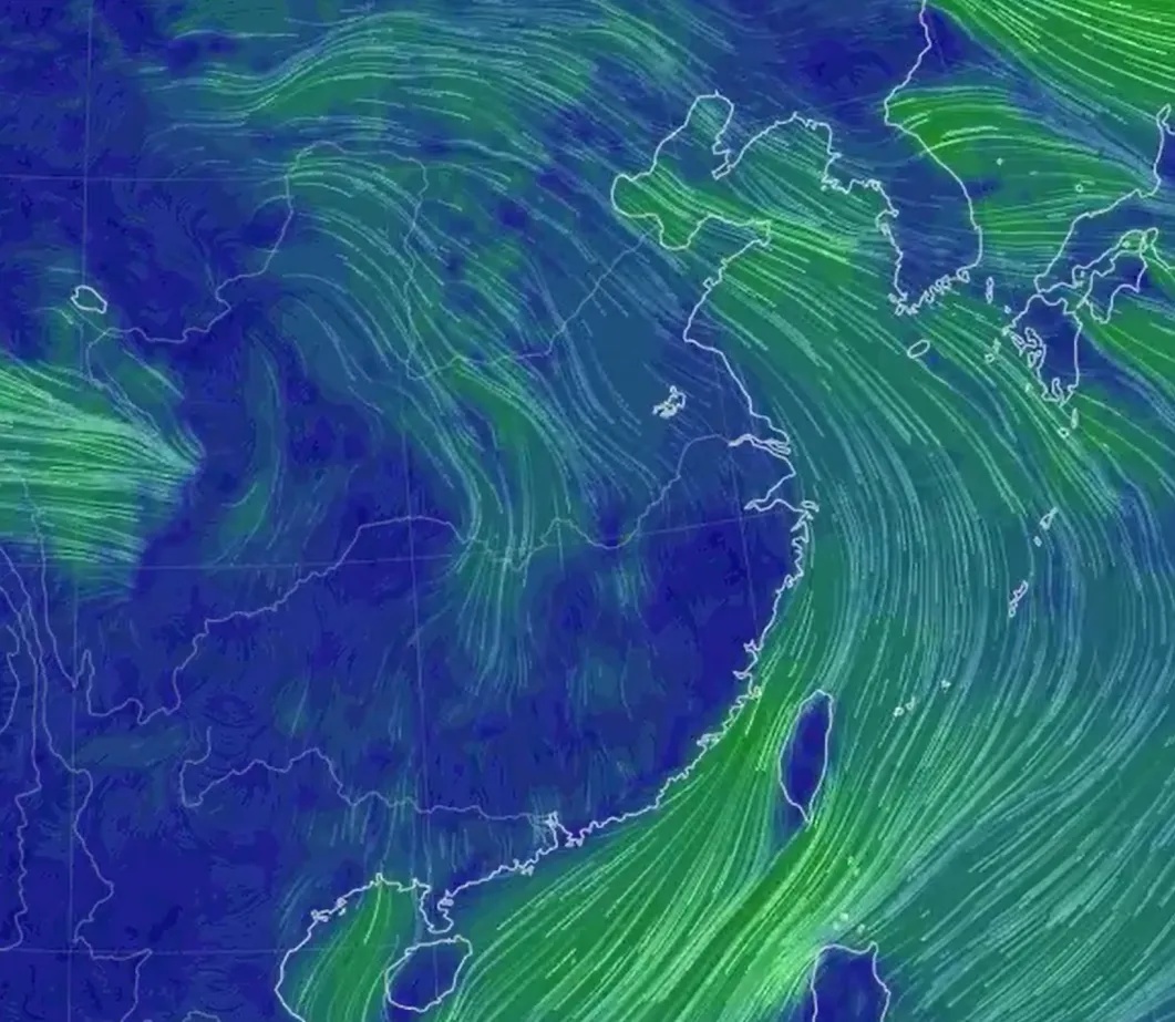冰冻升级！上海多区发布预警 最低零下5℃~零下3℃