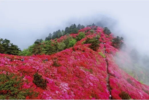 湖北5A级景区+1