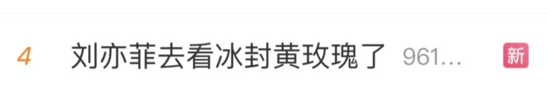 刘亦菲深夜发文！网友惊呼：她真的来了