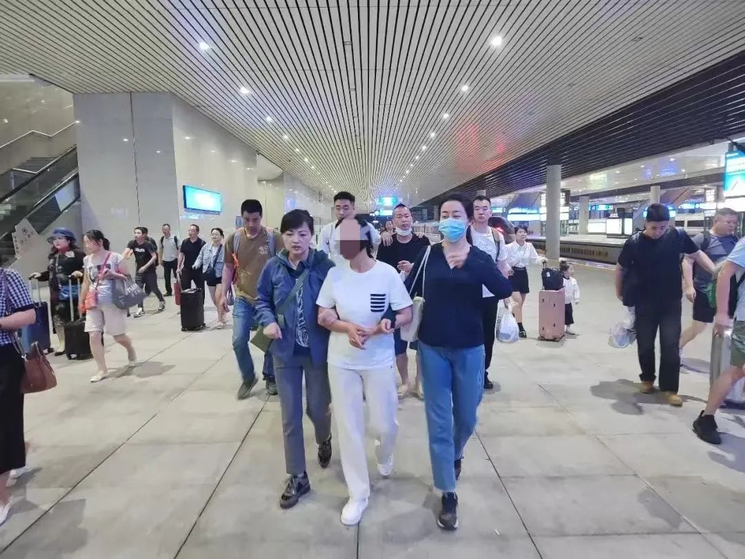 熊猫界也搞“饭圈化”?12人被抓! 熊猫界也搞“饭圈化”?12人被抓!