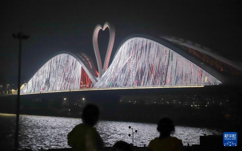 “天鹅”浮东江 广东惠州鹅城大桥建成通车
