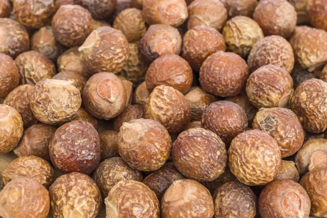 切莫食用！街头大量出现 还有不少人捡回家