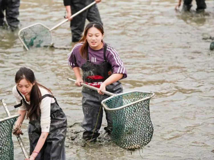 集体“摸鱼！浙江一高校内抓到200斤鱼，师生免费吃