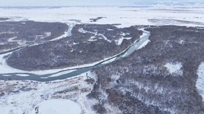 零下20℃，蜀黍翻山越岭30余公里为牧民找回丢失牛群