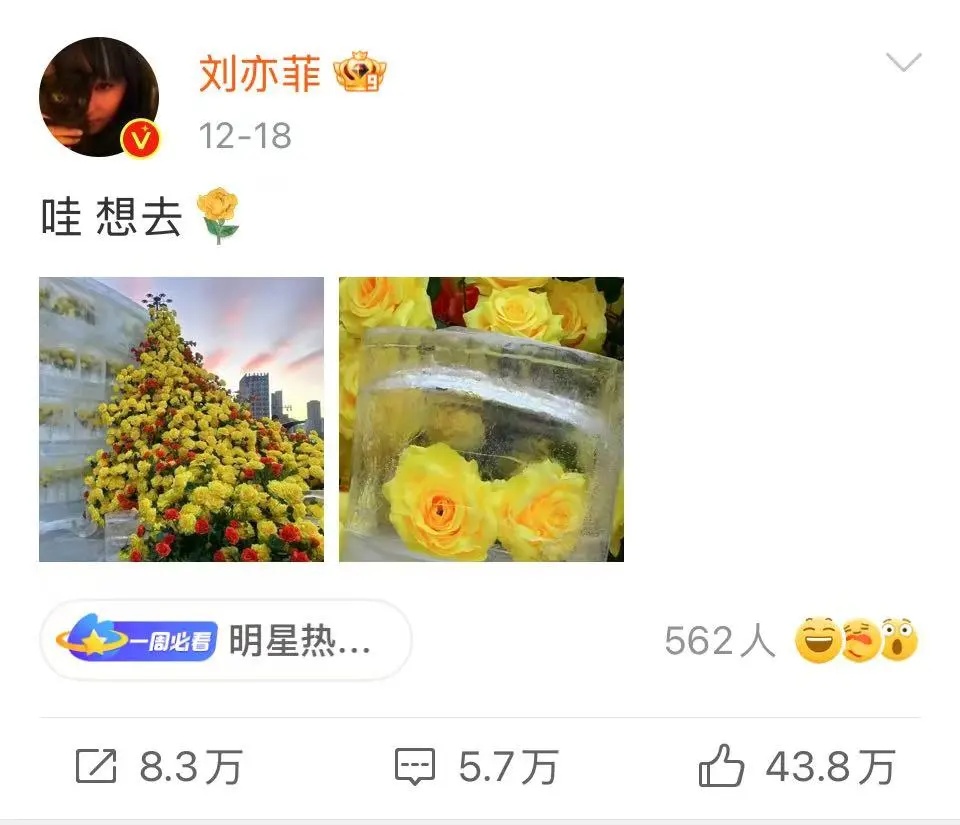 刘亦菲深夜发文！网友惊呼：她真的来了