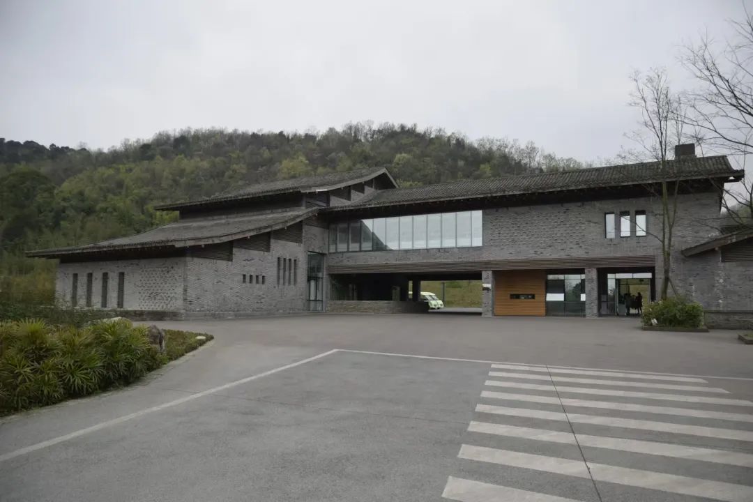 熊猫界也搞“饭圈化”?12人被抓! 熊猫界也搞“饭圈化”?12人被抓!