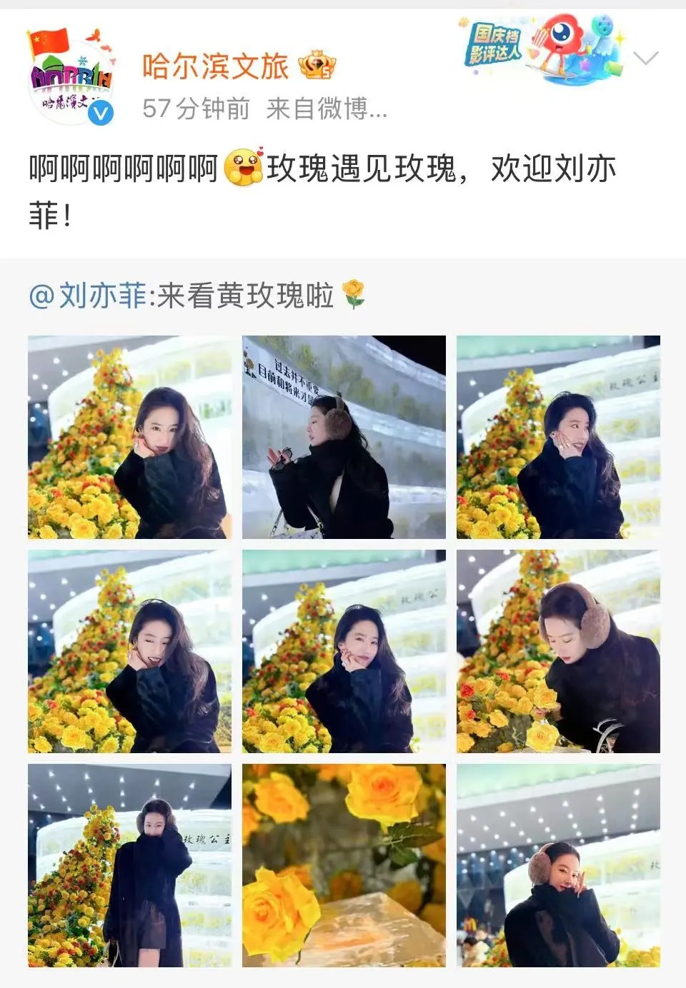 刘亦菲深夜发文！网友惊呼：她真的来了