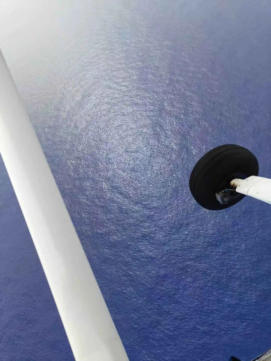 7条鲨鱼绕着转!更多细节公布:"我们互相鼓劲,谁也不放弃谁!" 7条鲨鱼绕着转!更多细节公布:"我们互相鼓劲,谁也不放弃谁!"