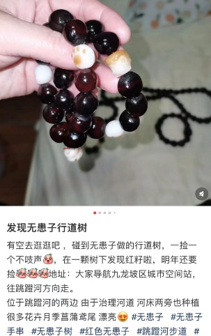 切莫食用！街头大量出现 还有不少人捡回家
