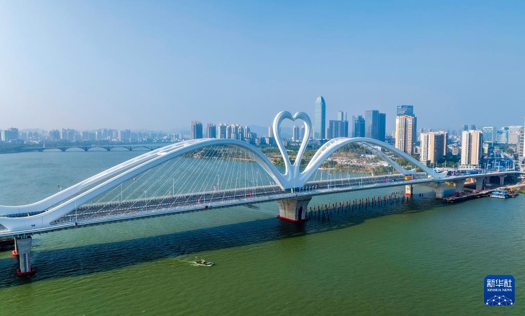 “天鹅”浮东江 广东惠州鹅城大桥建成通车