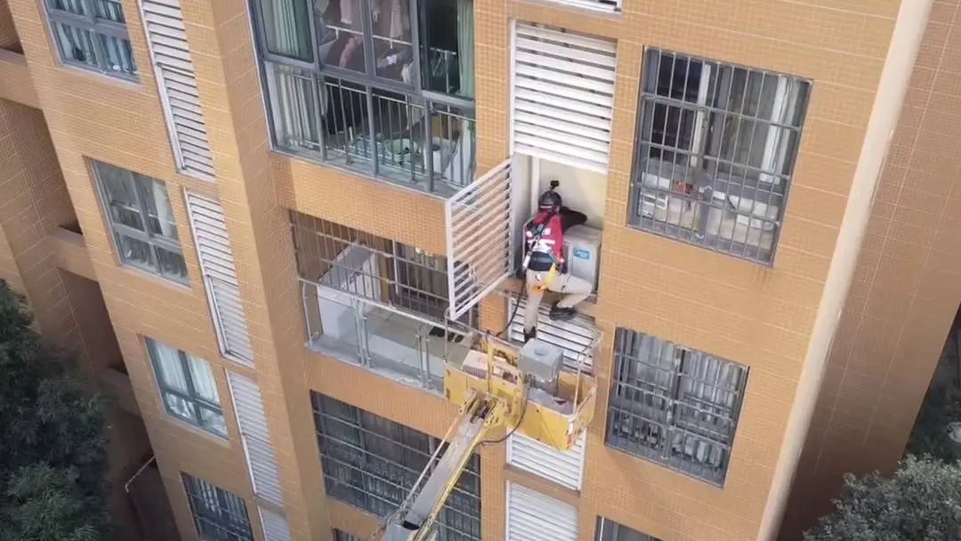 城市里的“猫咪消防员”:8年救下3927只猫,曾一天接到六七个求助 城市里的“猫咪消防员”:8年救下3927只猫,曾一天接到六七个求助