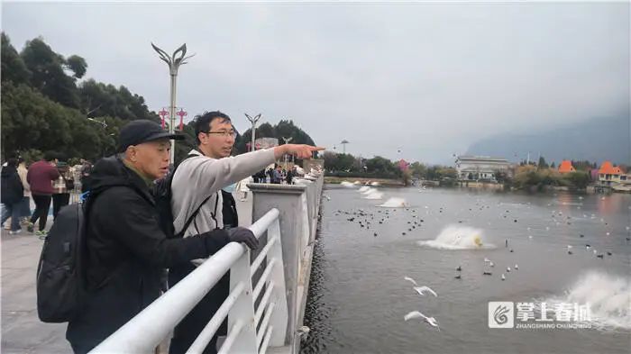 今年昆明来了多少只红嘴鸥？“鸥口普查”结果来啦……