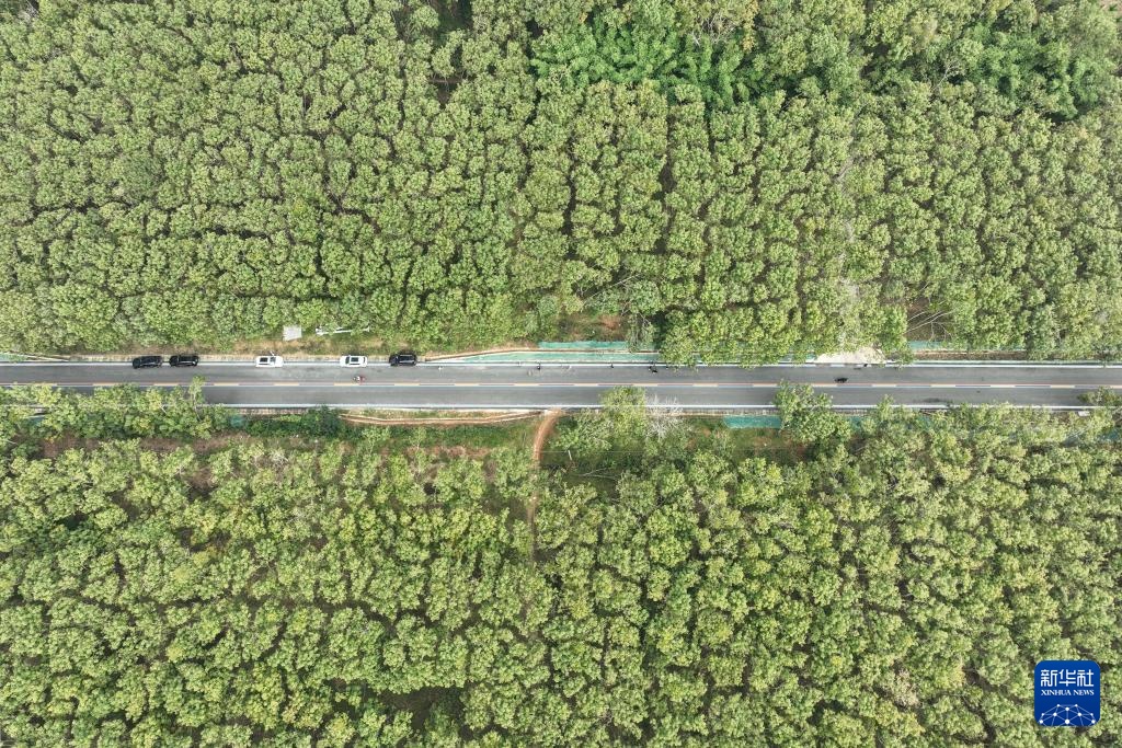 海南环热带雨林国家公园旅游公路通车