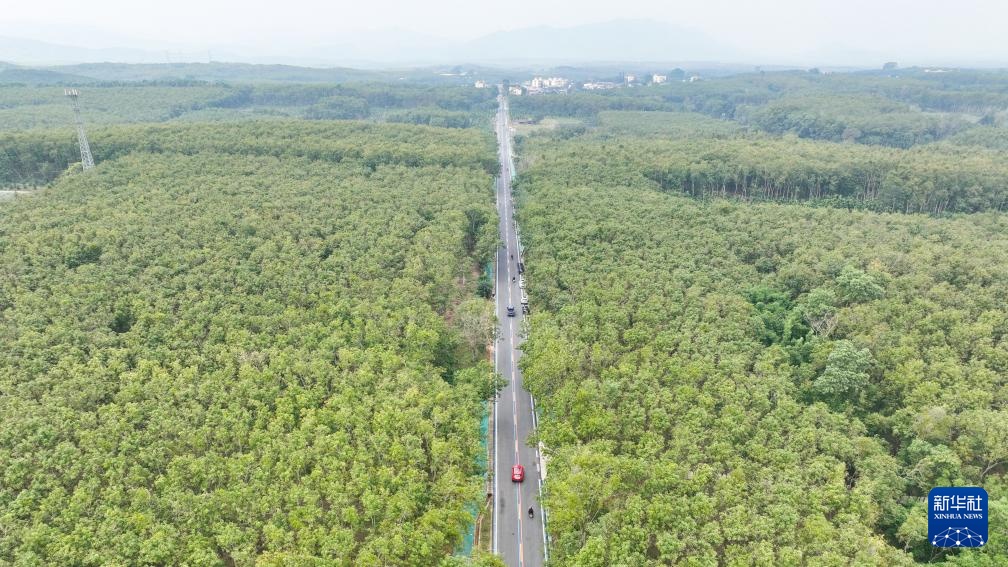 海南环热带雨林国家公园旅游公路通车