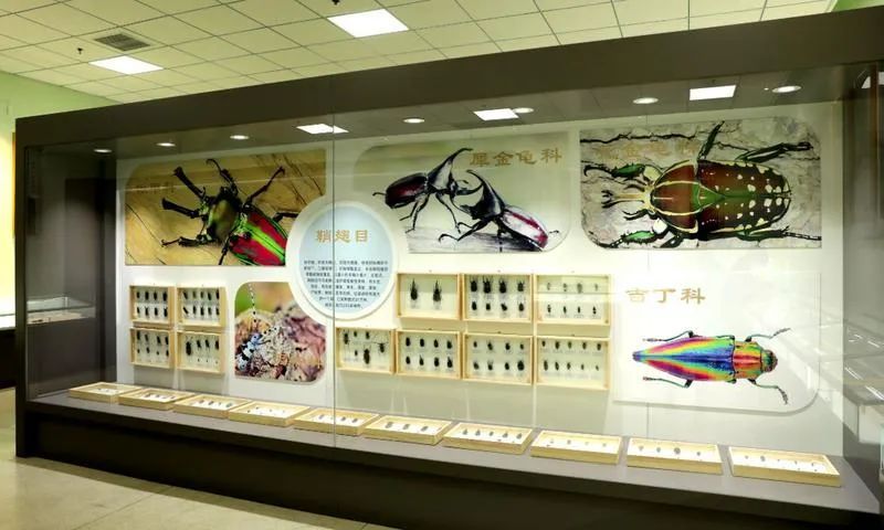 小昆虫大世界！山西省首家科普馆建成并开放