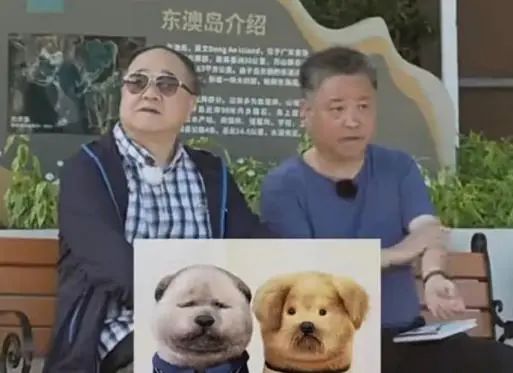 莫言的年终总结火了！评论区涌入大批网友