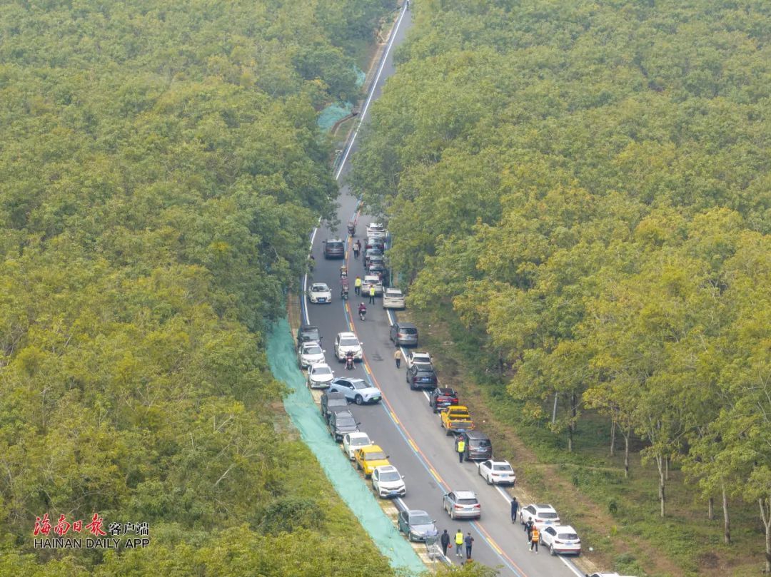 快讯!环热带雨林国家公园旅游公路正式通车 快讯!环热带雨林国家公园旅游公路正式通车