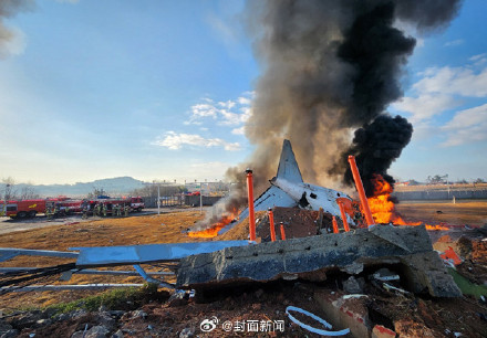 韩国国土交通部：韩机场塔台曾向飞机发鸟群冲撞警报