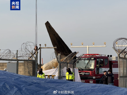 韩国国土交通部：韩机场塔台曾向飞机发鸟群冲撞警报