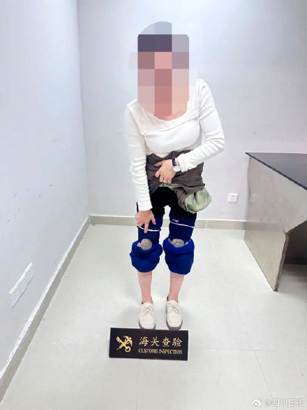 女子穿长裙藏25只濒危龟入境 女子穿长裙藏25只濒危龟入境