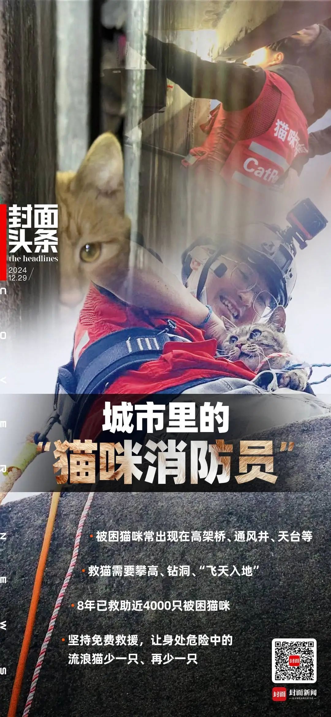 城市里的“猫咪消防员”:8年救下3927只猫,曾一天接到六七个求助 城市里的“猫咪消防员”:8年救下3927只猫,曾一天接到六七个求助