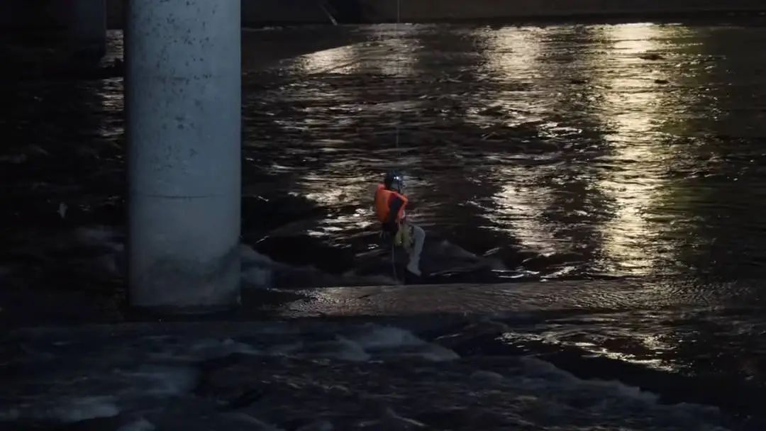 城市里的“猫咪消防员”:8年救下3927只猫,曾一天接到六七个求助 城市里的“猫咪消防员”:8年救下3927只猫,曾一天接到六七个求助