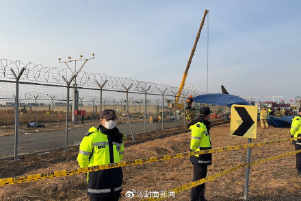 韩国国土交通部：韩机场塔台曾向飞机发鸟群冲撞警报