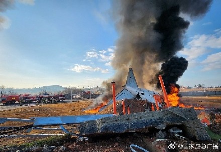 韩国载181人飞机降落时起火 客机疑似撞鸟 起落架未放下 韩国载181人飞机降落时起火 客机疑似撞鸟 起落架未放下