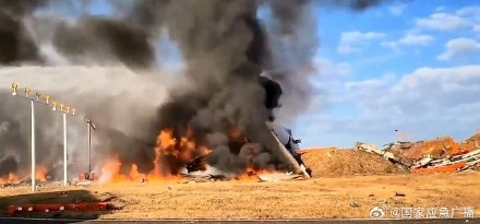 韩国载181人飞机降落时起火 客机疑似撞鸟 起落架未放下 韩国载181人飞机降落时起火 客机疑似撞鸟 起落架未放下