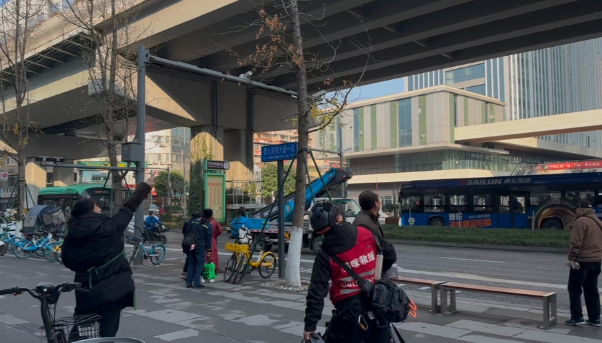 城市里的“猫咪消防员”:8年救下3927只猫,曾一天接到六七个求助 城市里的“猫咪消防员”:8年救下3927只猫,曾一天接到六七个求助