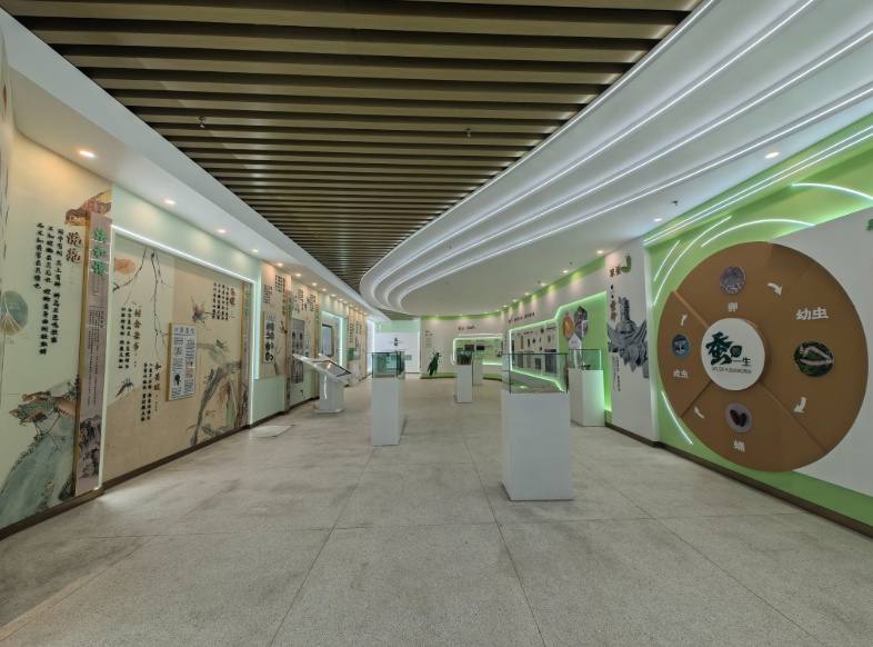 小昆虫大世界！山西省首家科普馆建成并开放